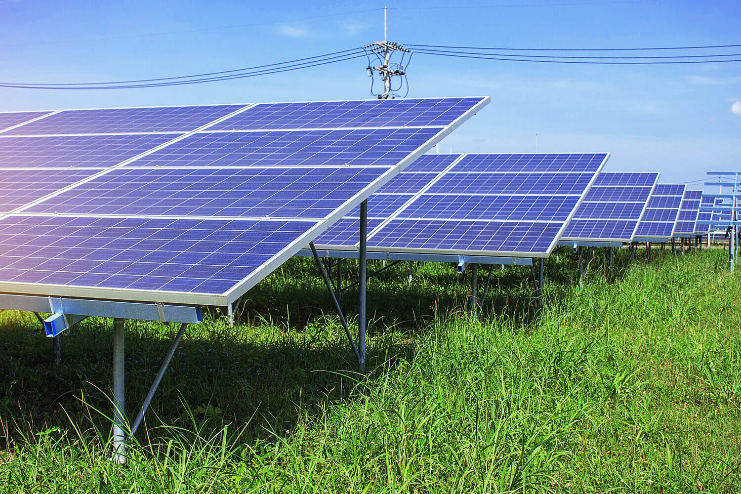solar-panels-on-green-grass-2024