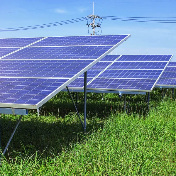 solar-panels-on-green-grass-2024